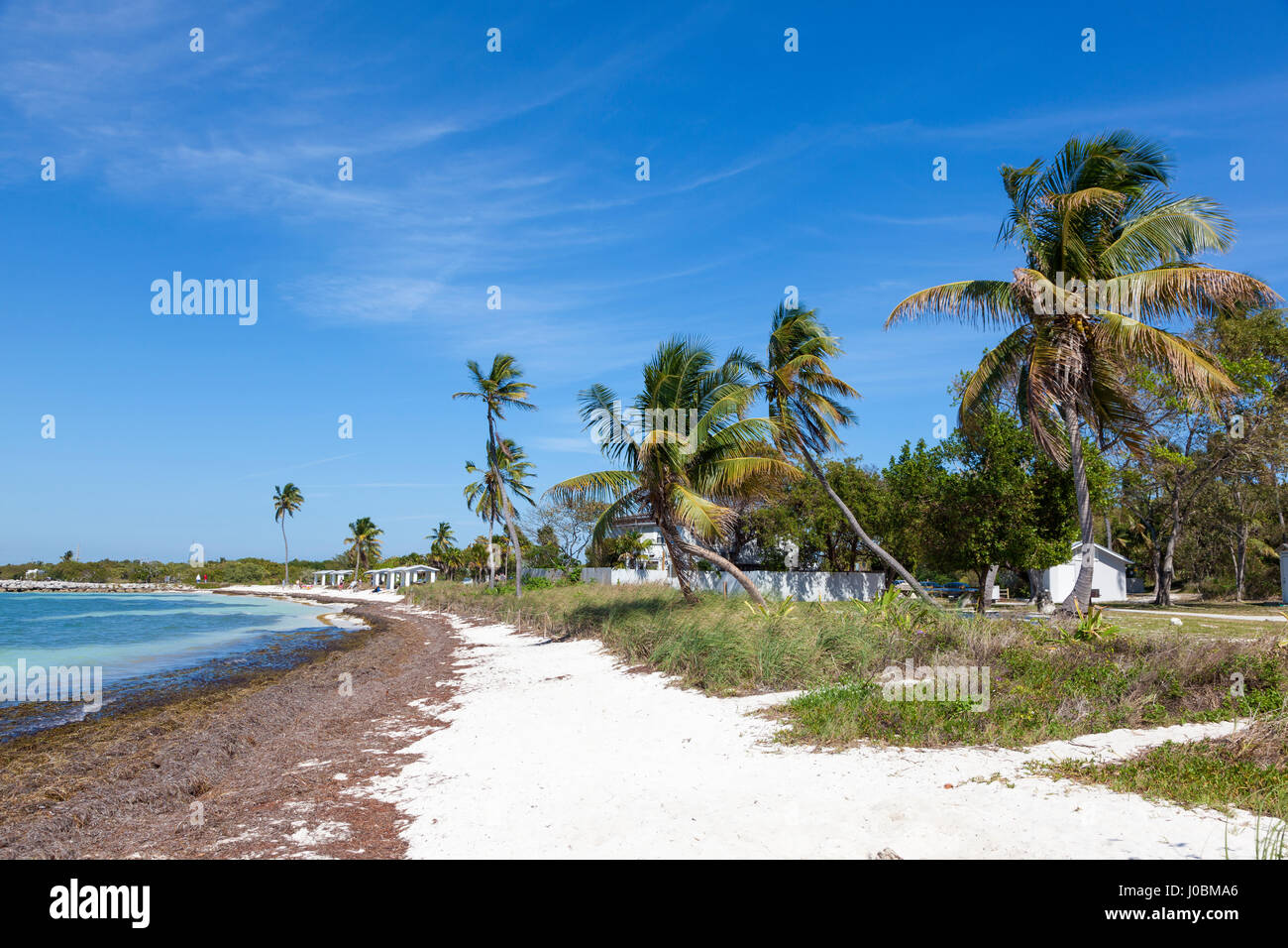 Schönen weißen Sandstrand im Bahia Honda Key State Park. Florida Keys, Vereinigte Staaten von Amerika Stockfoto
