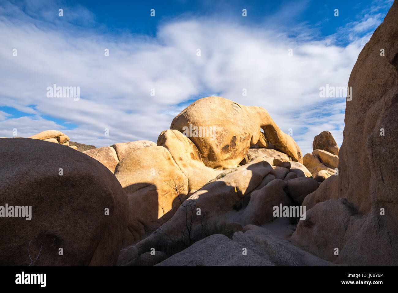 Blick auf Arch Rock.  Joshua Tree Nationalpark, Kalifornien, USA. Stockfoto