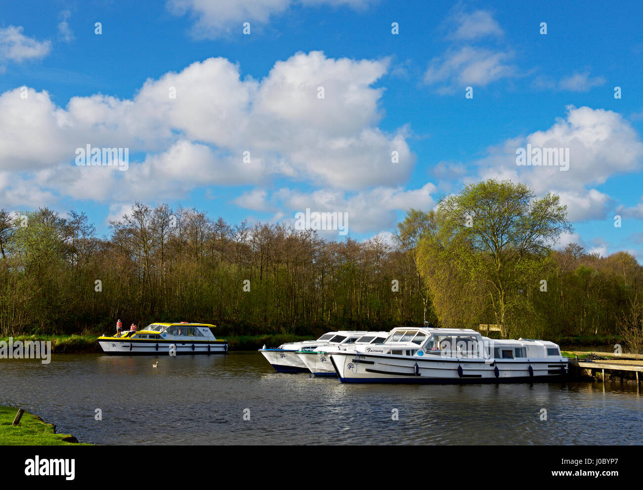 Boote auf dem Fluss Ant in Stalham, Norfolk, England Großbritannien Stockfoto