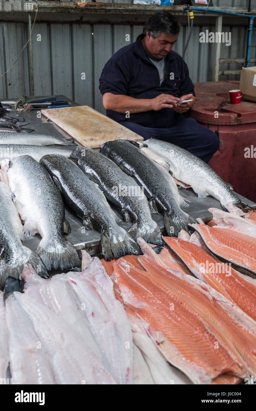 Der Fischmarkt in Castro, Chiloé, Patagonien, Chile Stockfoto