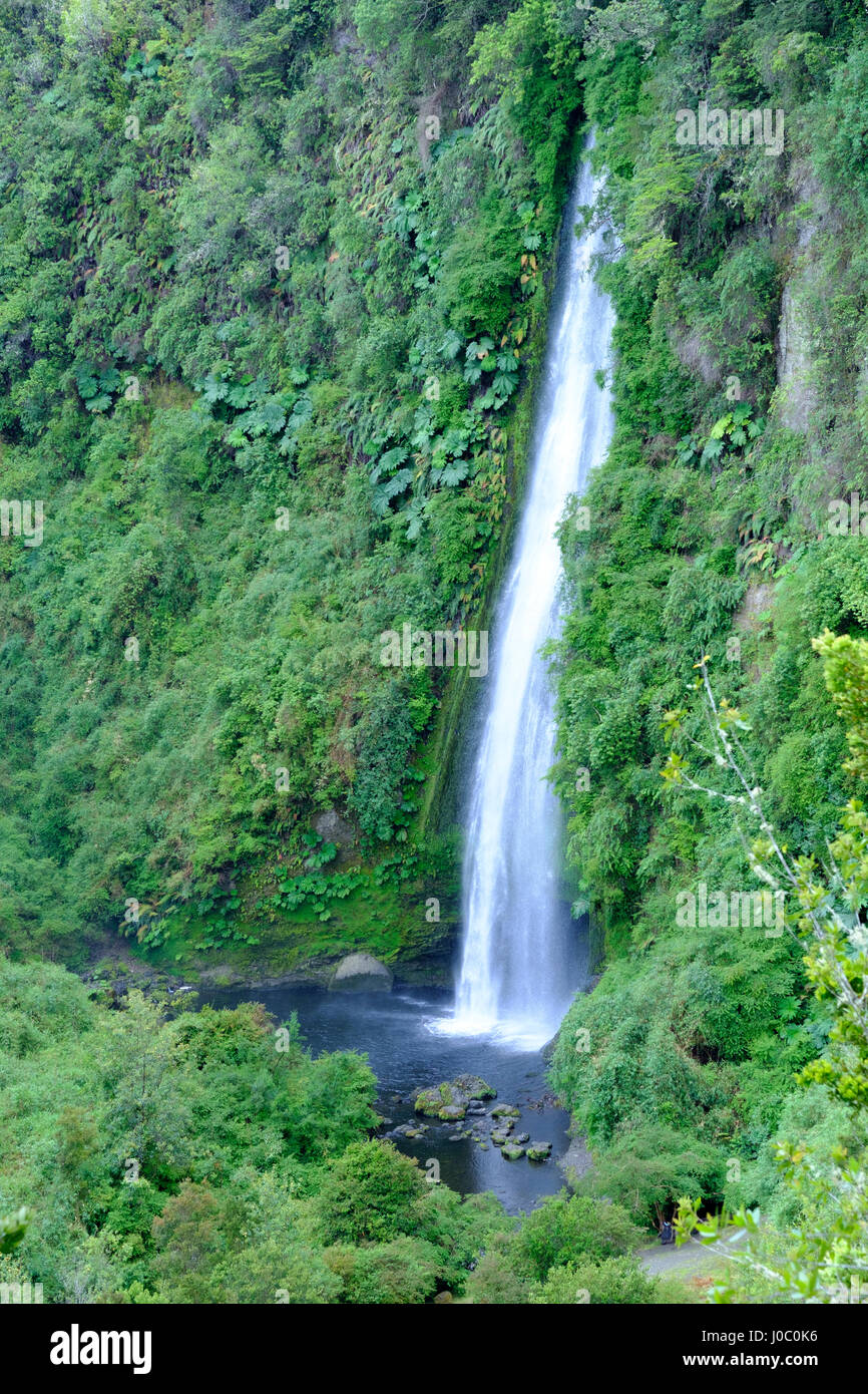 Ein Wasserfall auf der Insel Chiloé, nördlichen Patagonien, Chile Stockfoto