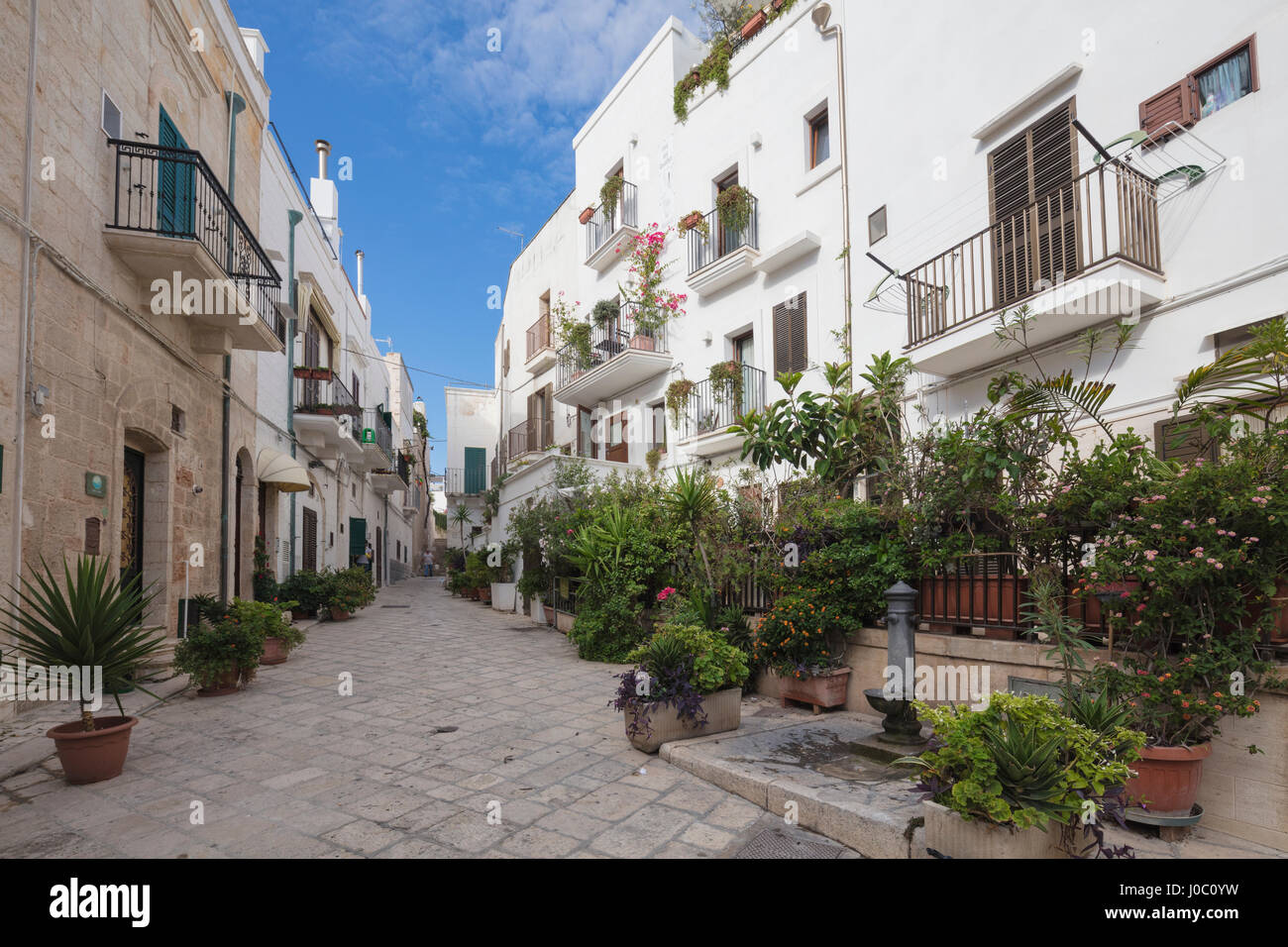 Typische Gasse und Häuser der Altstadt, Polignano a Mare, Provinz Bari, Apulien, Italien Stockfoto