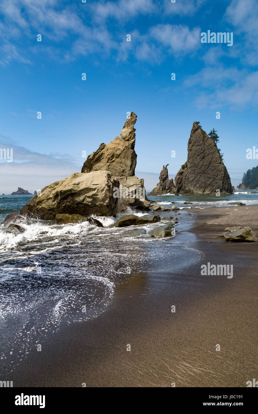 Dramatische Felsnadeln am Rialto Strand im Olympic National Park, UNESCO, Pacific Northwest Coast, Washington State, USA Stockfoto