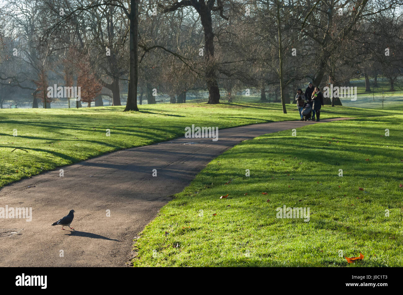 Grüne Sonne, Green Park, London, England, UK Stockfoto