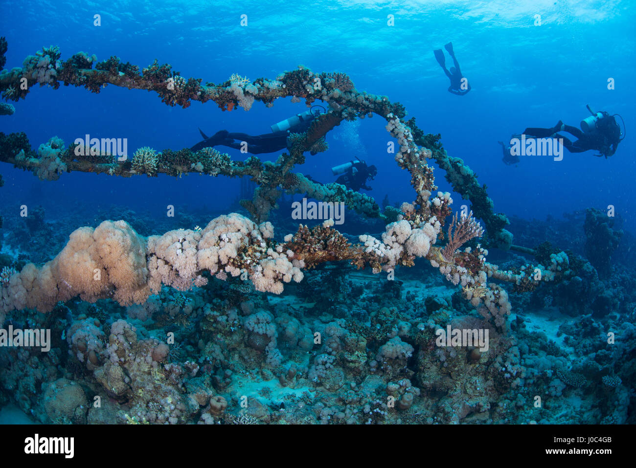 Taucher von Korallen bedeckt Schiffbruch, Rotes Meer, Marsa Alam, Ägypten Stockfoto