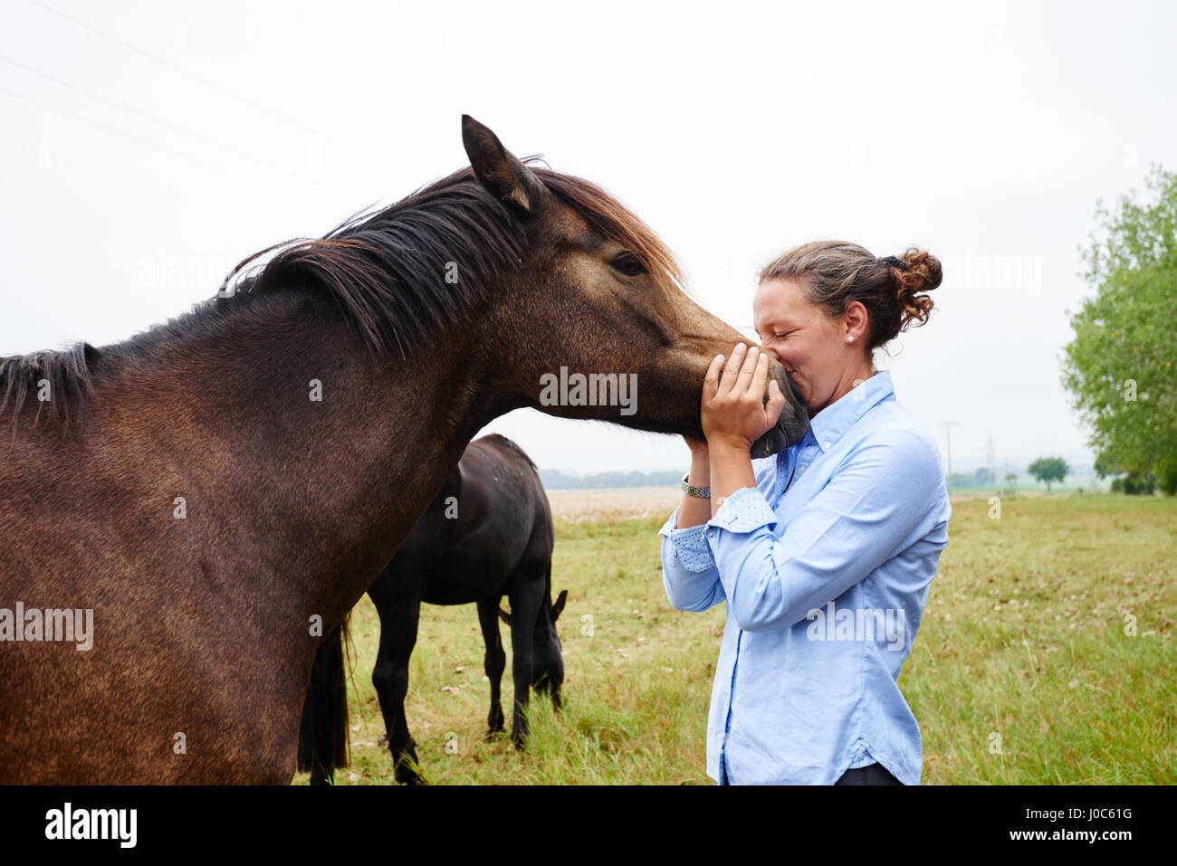 Frau mit dem Gesicht zu Pferd die Schnauze im Feld Stockfoto