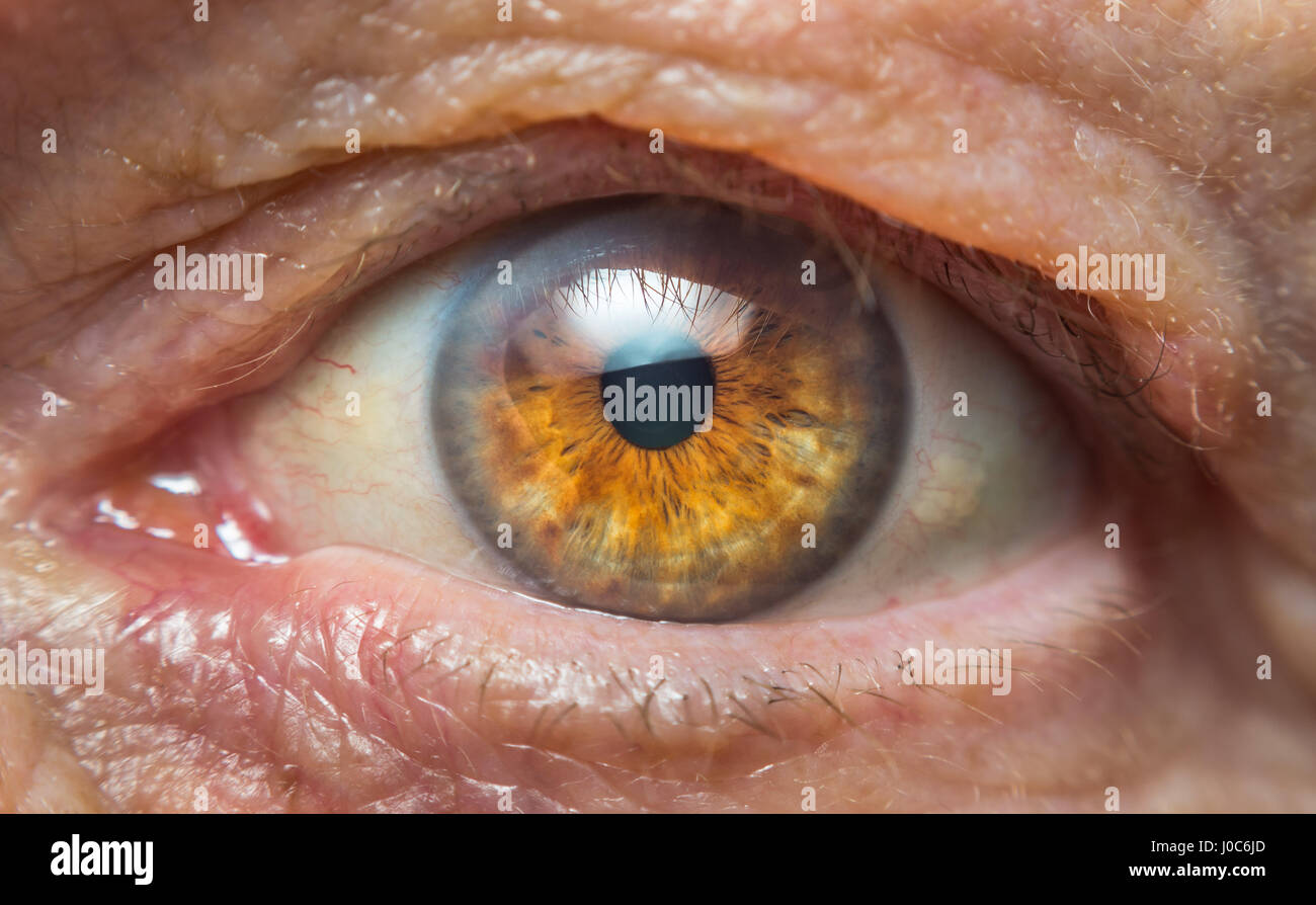Das Auge von einer alten Frau. Konzept für Augenerkrankungen wie grauer Star. Stockfoto