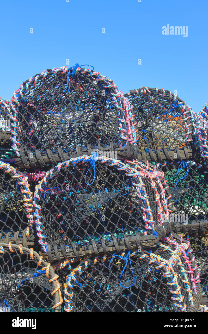 Hummer-Töpfe auf Holy Island, Northumbria. UK Stockfoto