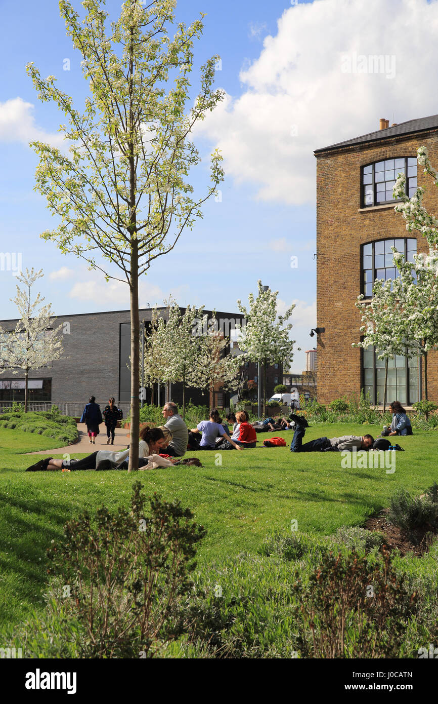 Feder am Wharf Road Gärten in der Nähe von kornhaus Square, Kings Cross, NC1, London, UK Stockfoto