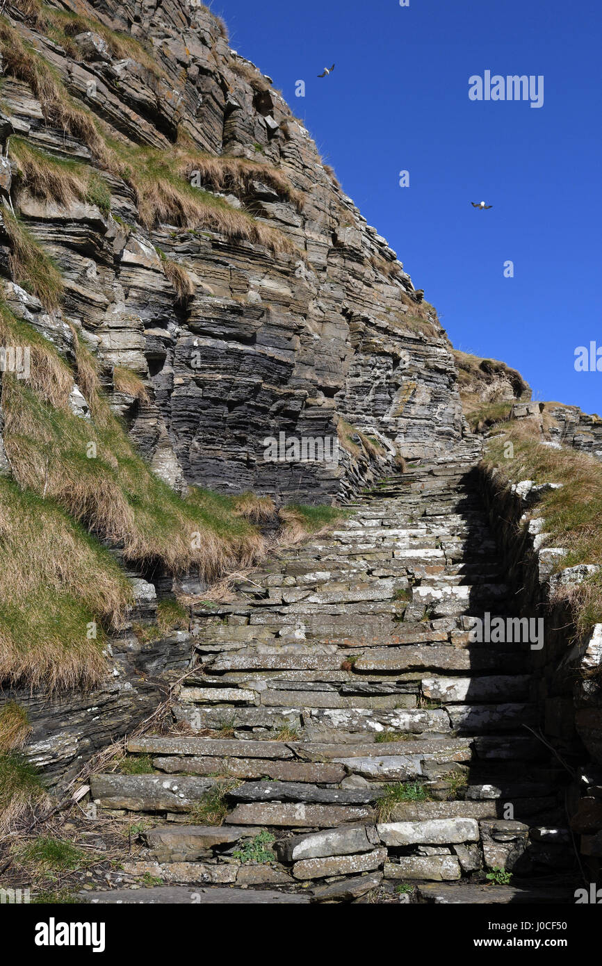 Whaligoe Schritte, steil, in der Nähe von Wick; Fisch Ehefrauen; Angeln; Caithness Schottland Stockfoto