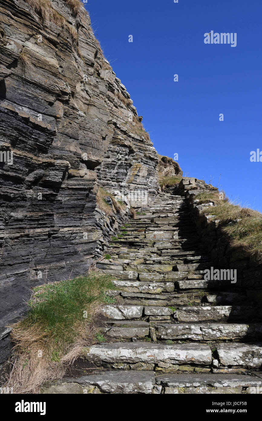 Whaligoe Schritte, steil, in der Nähe von Wick; Fisch Ehefrauen; Angeln; Caithness Schottland Stockfoto