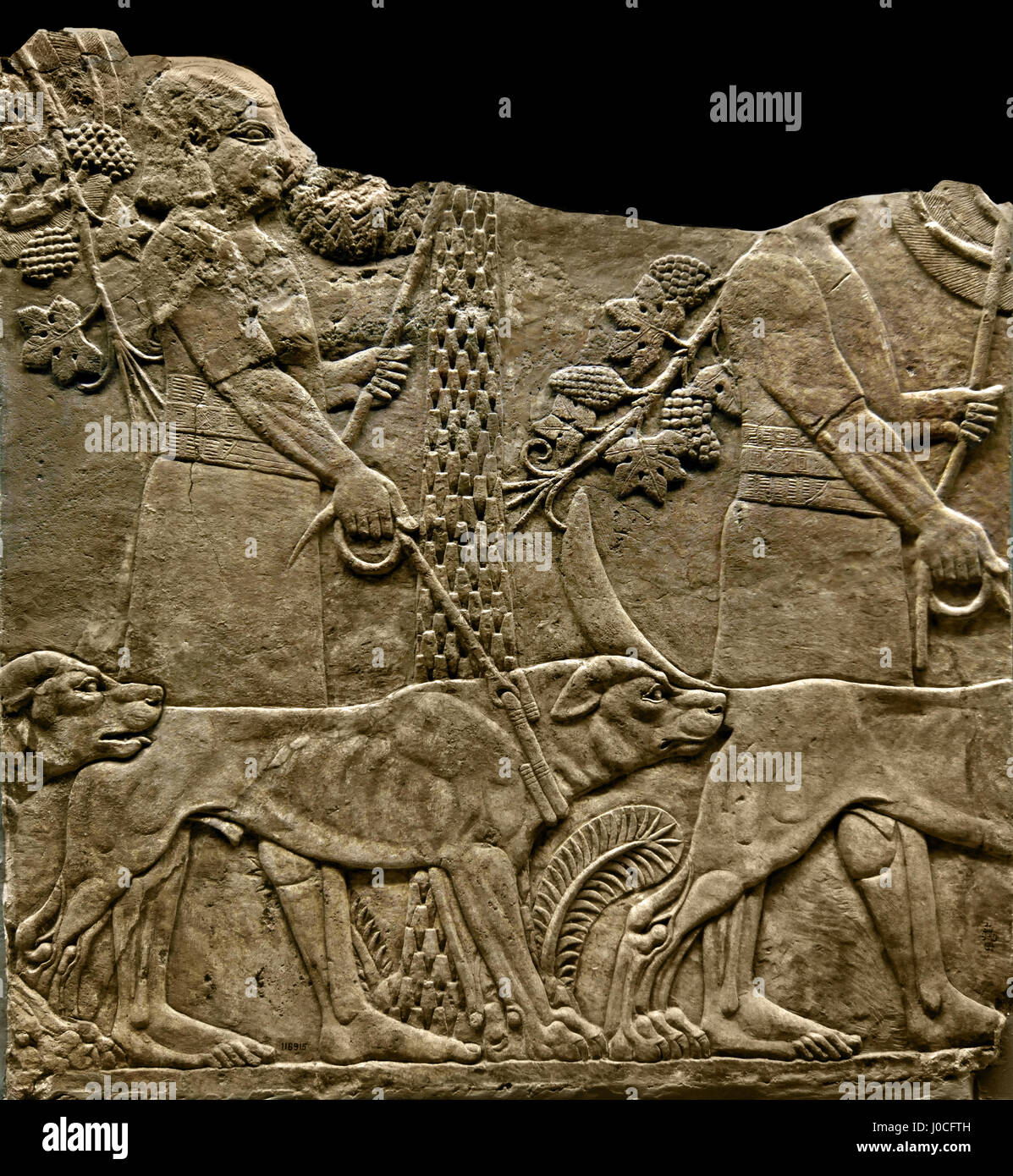Jäger mit Hunden in einem Garten Nord-Palast von Ninive 645-635 v. Chr. Mesopotamien Irak Assyrien (König Assurbanipal oder Ashshurbanipal, Sohn von Esarhaddon und der letzte starke König des neuassyrischen Reiches (934 – 609 v. Chr.) Stockfoto