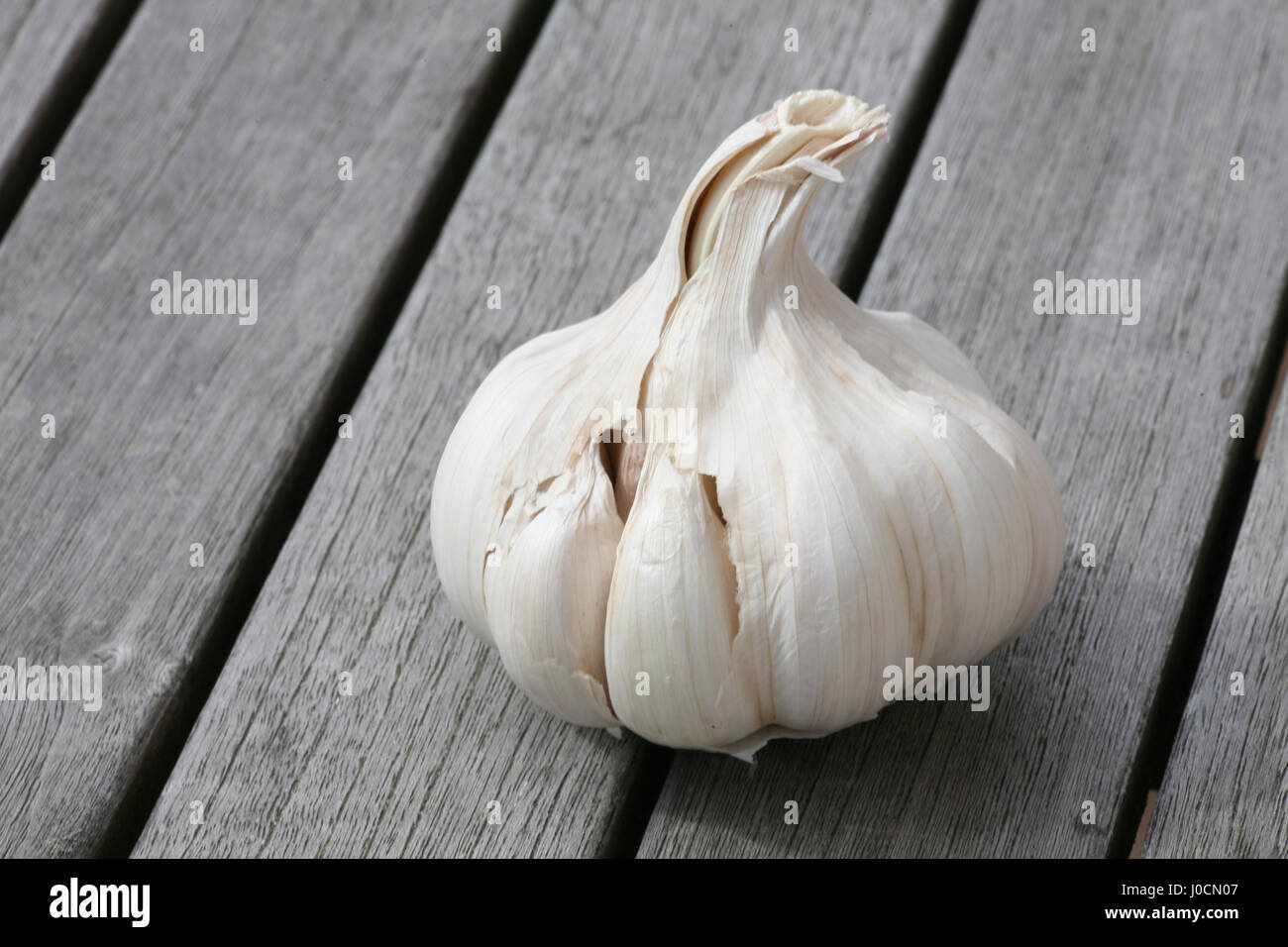 Knoblauchzehe Stockfoto
