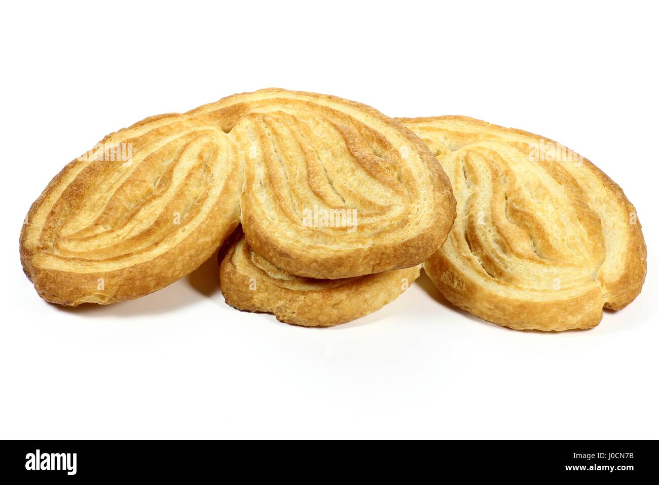 Palmiers isoliert auf weißem Hintergrund Stockfoto