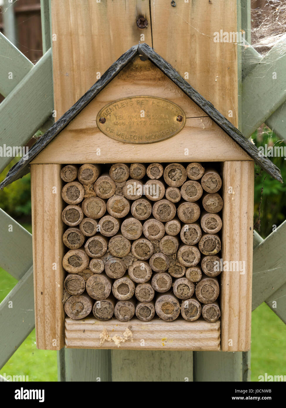 Garten Insekt Biene Feld Haus aus hohle Bambusstämme, UK Stockfoto