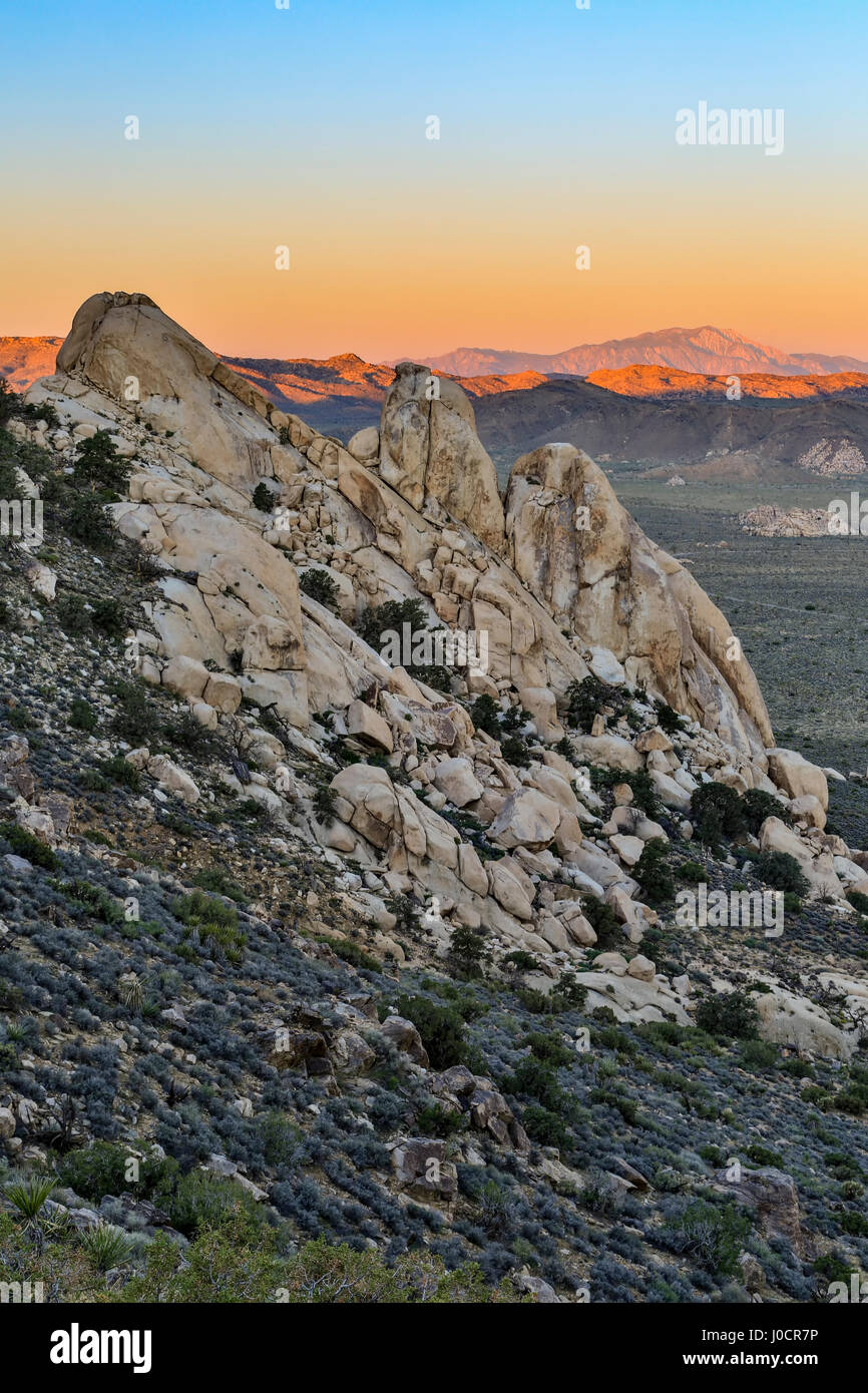 Rocky (Granit) Aufschluss von Ryan Bergweg, Joshua Tree Nationalpark, Kalifornien USA Stockfoto