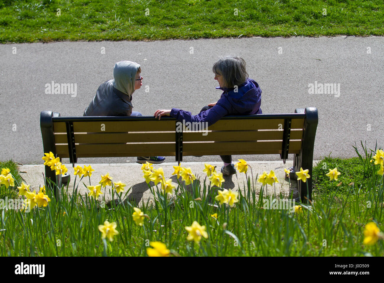 Aberdeen, Schottland, Vereinigtes Königreich.  Großbritannien Wetter.   12. April 2017. Frühlingssonne und Frühjahr Narzissen im Riverside wie Einheimischen profitieren Sie von gutem Wetter über den Fluss Dee. Aberdeen Stadtrat hat beaufsichtigt, die Schaffung der 0,7 Meilen Strecke Narzissen gesäumt Radfahren Wandern entlang dem Nordufer des Flusses Dee, zwischen der König George VI Brücke und die Brücke von Dee, Credit: MediaWorldImages/Alamy Live News Stockfoto