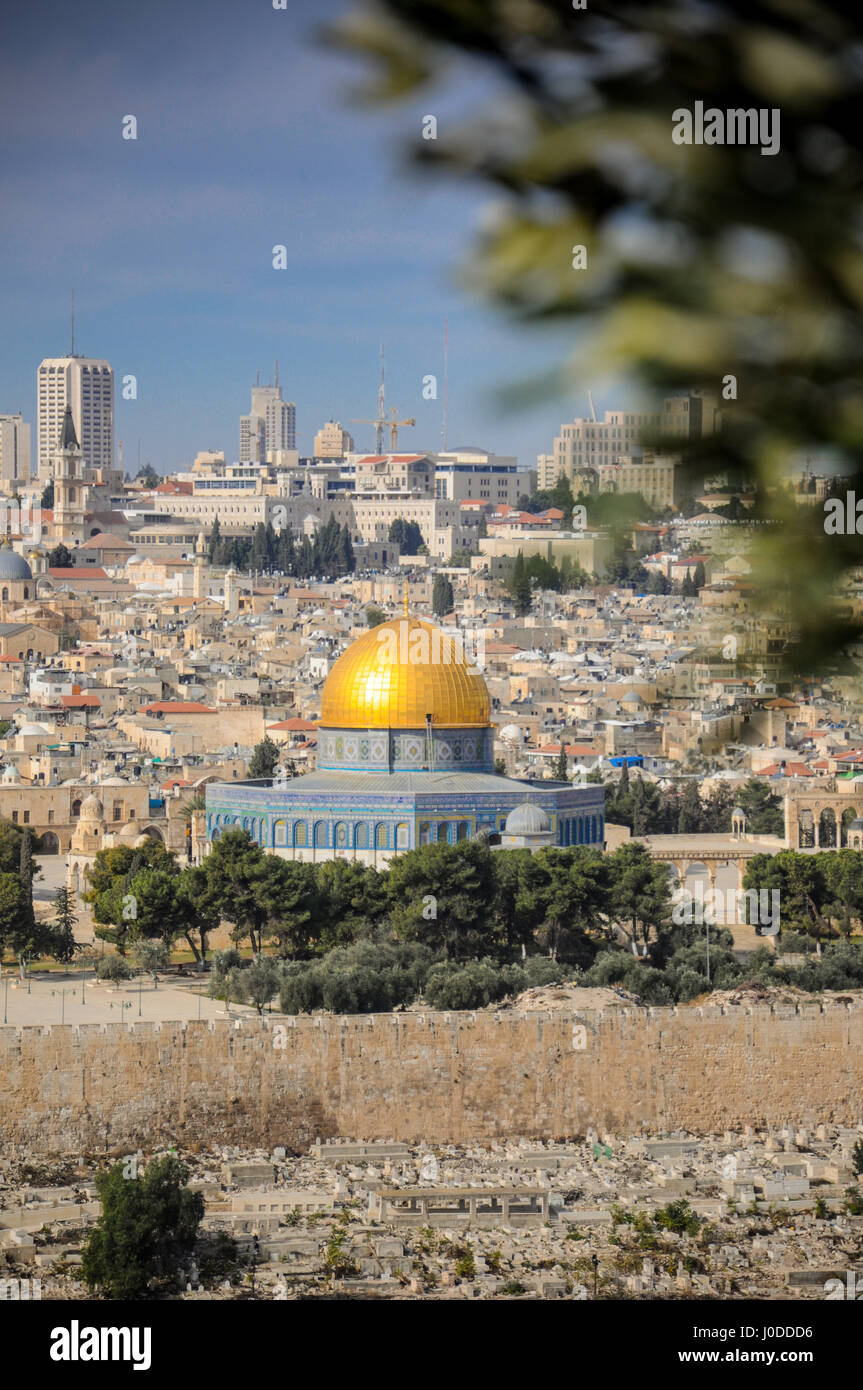 Haube des Felsens mit einem Olivenbaum im Vordergrund (Israel) Stockfoto