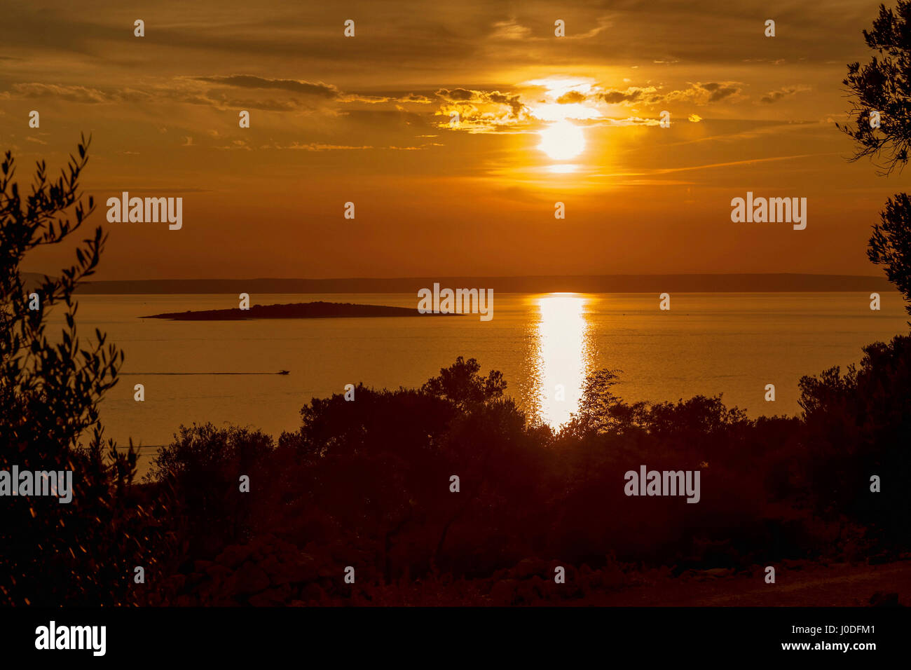 Sonnenuntergang gesehen von Lun Olivenhaine, Insel Pag, Kroatien Stockfoto