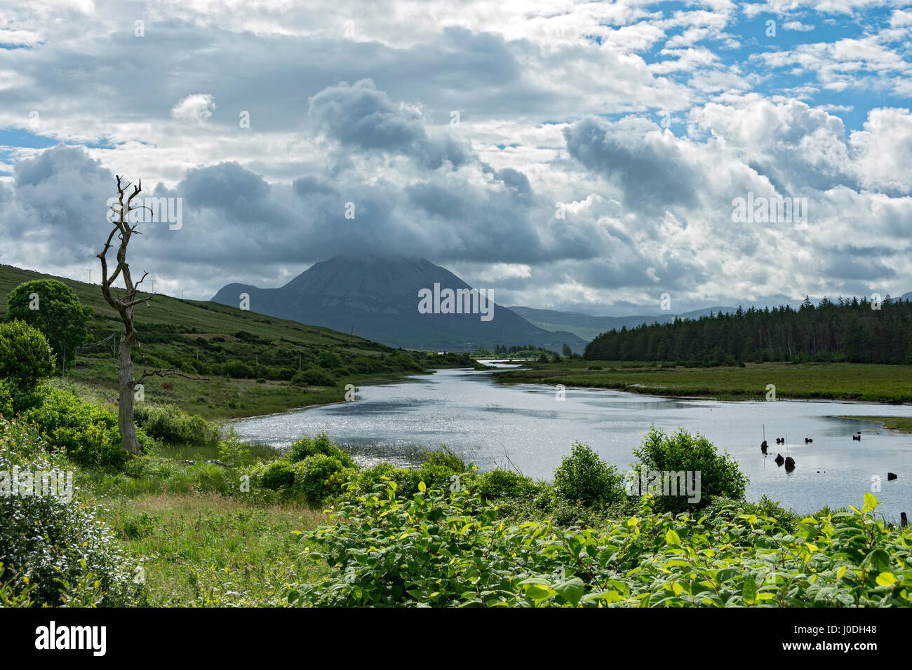 Errigal über Lough Nacung niedriger, Derryveagh Mountains, County Donegal, Irland Stockfoto