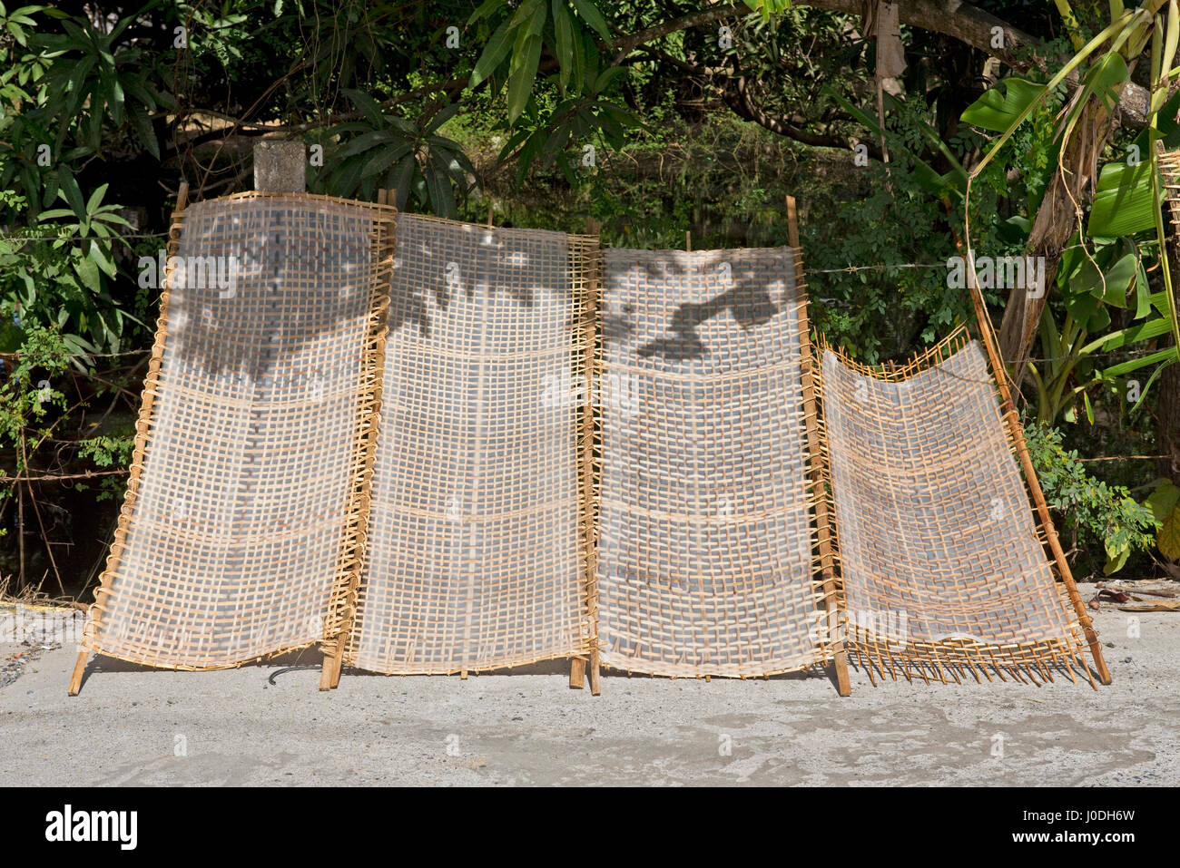 Horizontale Ansicht der traditionellen weißen Reisnudeln in Form von Platten in der Sonne in Vietnam austrocknen. Stockfoto