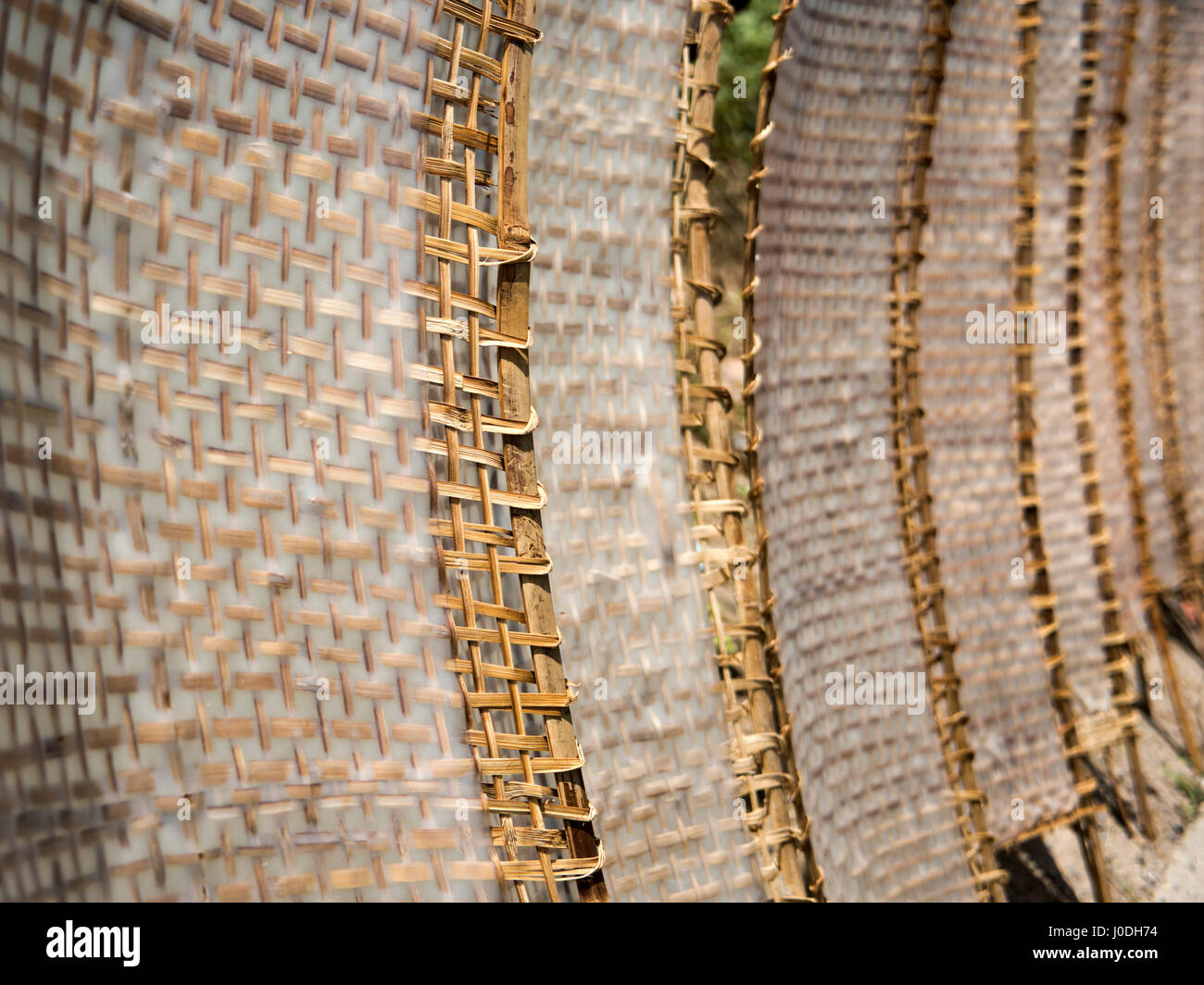 Horizontale Nahaufnahme von traditionellen weißen Reisnudeln in Form von Platten in der Sonne in Vietnam austrocknen. Stockfoto