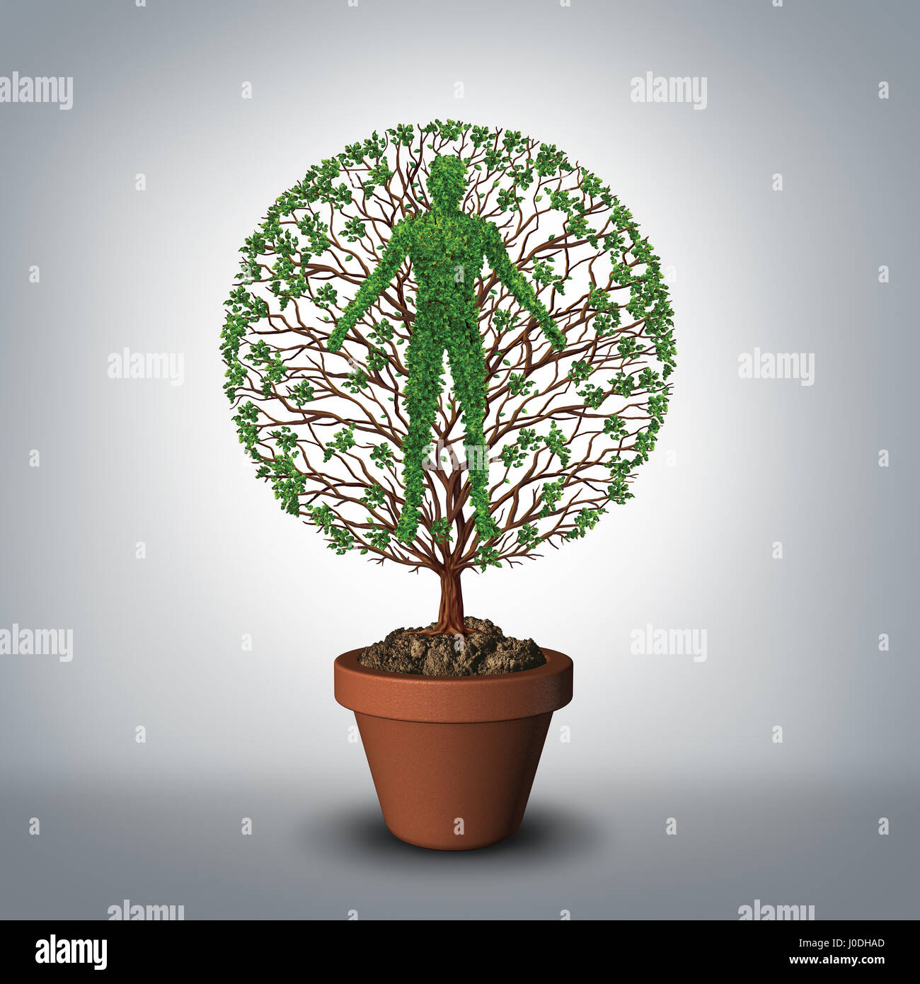 Baum des Lebens-Symbol als eine Pflanze wächst aus einem Blumentopf,  geformt wie ein Mensch als Medizin und Medizin Symbol für einen gesunden  Lebensstil Stockfotografie - Alamy