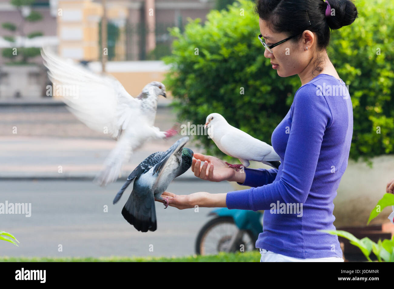 Asiatische Frau, die Tauben füttern thront auf ihren Händen in Ho-CHi-Ming-Stadt, Vietnam Stockfoto