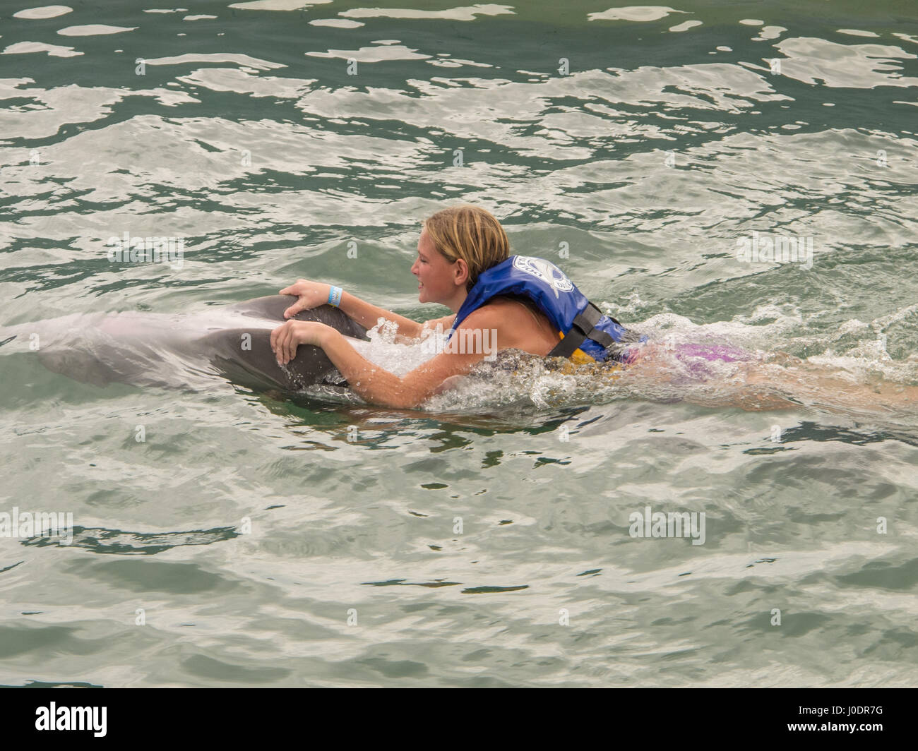 Gefangene Delfine führen für Kreuzfahrt-Passagiere der COSTA MAYA Resort, Mexiko. Stockfoto