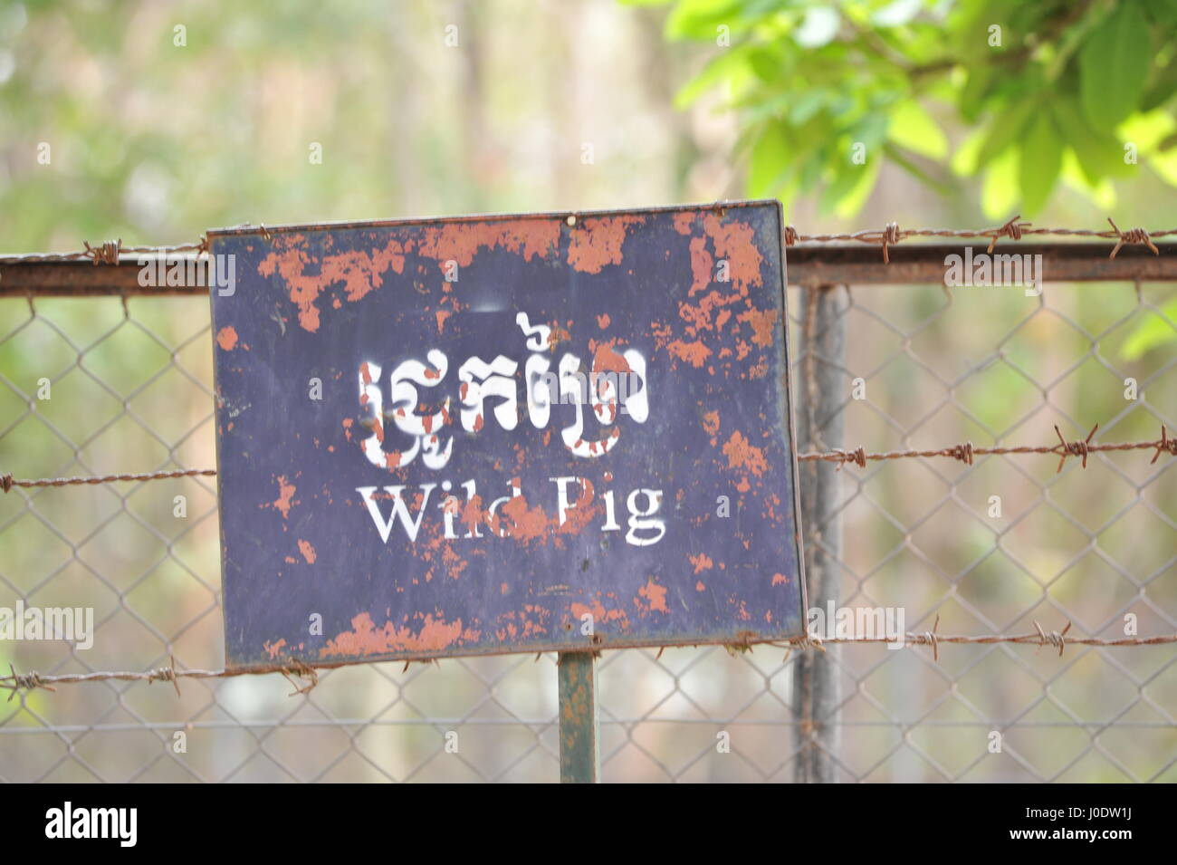 alten verwitterten zweisprachige "Wildschwein" Schild Phnom Tamao Wildlife Rescue Center, Takeo Province, Kambodscha. Kredit: Kraig Lieb Stockfoto