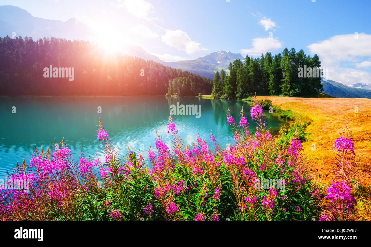 Erstaunliche sonniger Tag am Champferersee See in den Schweizer Alpen. Silvaplana-Dorf, Schweiz, Europa. Stockfoto