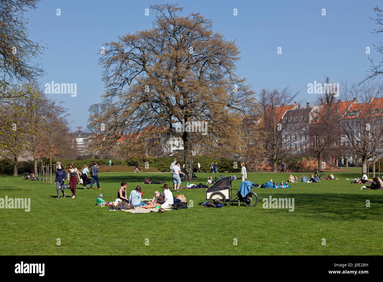 Junge Leute genießen die warme Frühlingssonne am Palmsonntag in Kongens Have, den Königsgarten, Kopenhagen, Dänemark. Blick in Richtung Kronprinsesegade. Hygge. Stockfoto