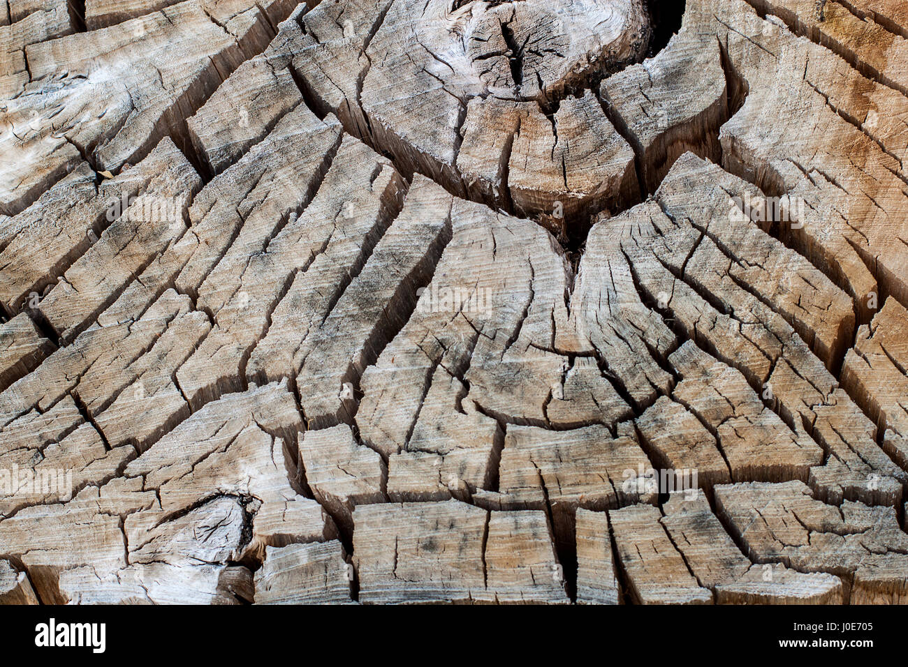 braune hölzerne Struktur Hintergrund mit natürlichen Muster Stockfoto