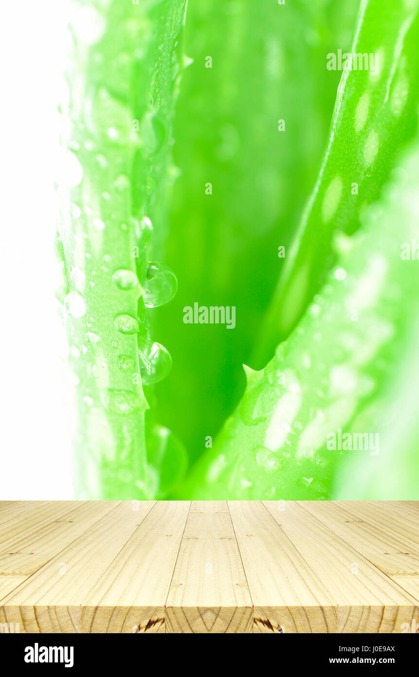Geschlossen-Up der Aloe Vera Blätter Hintergrund mit Regentropfen und Holztisch. Stockfoto