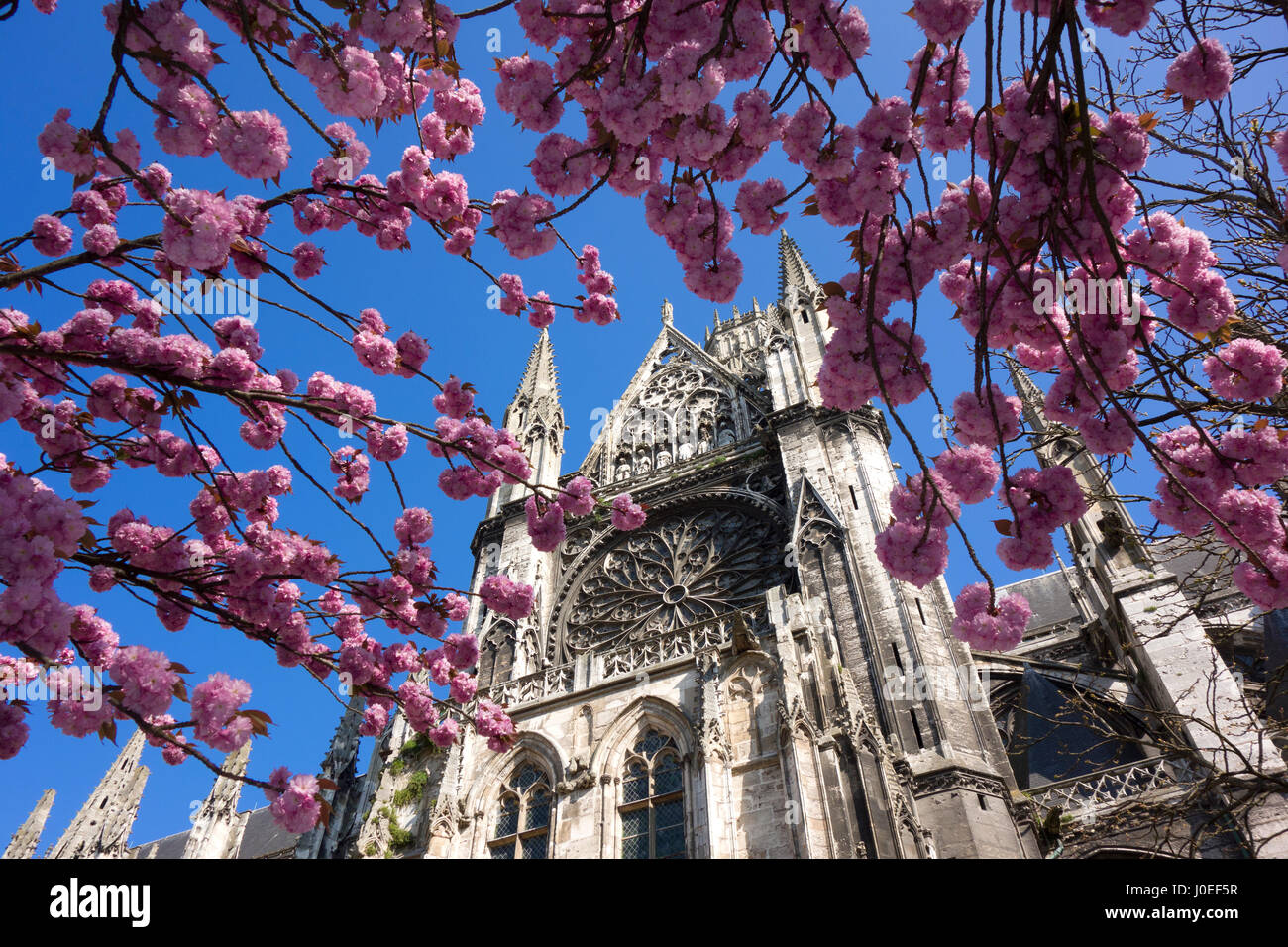 Kirche von St. Ouen, Rouen, mit Kirschblüten im Vordergrund Stockfoto