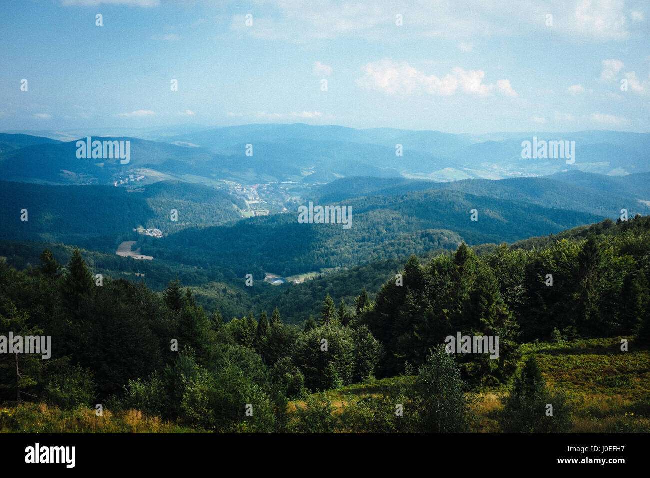 Die wunderschöne Landschaft des Beskid Sadecki in den Westkarpaten, das Teil der westlichen Beskiden in Polen ist. Stockfoto