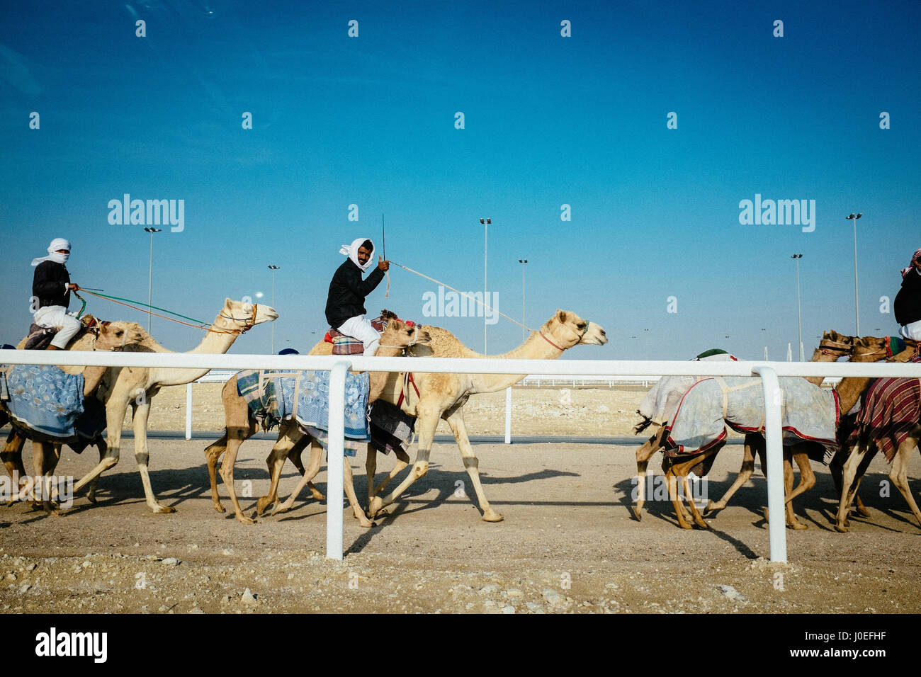 Camel Jockey zeigt die Daumen hoch Zeichen vom Ende sein Kamel an der Kamel Rennstrecke bei Al-Shahaniyya in Katar. Stockfoto