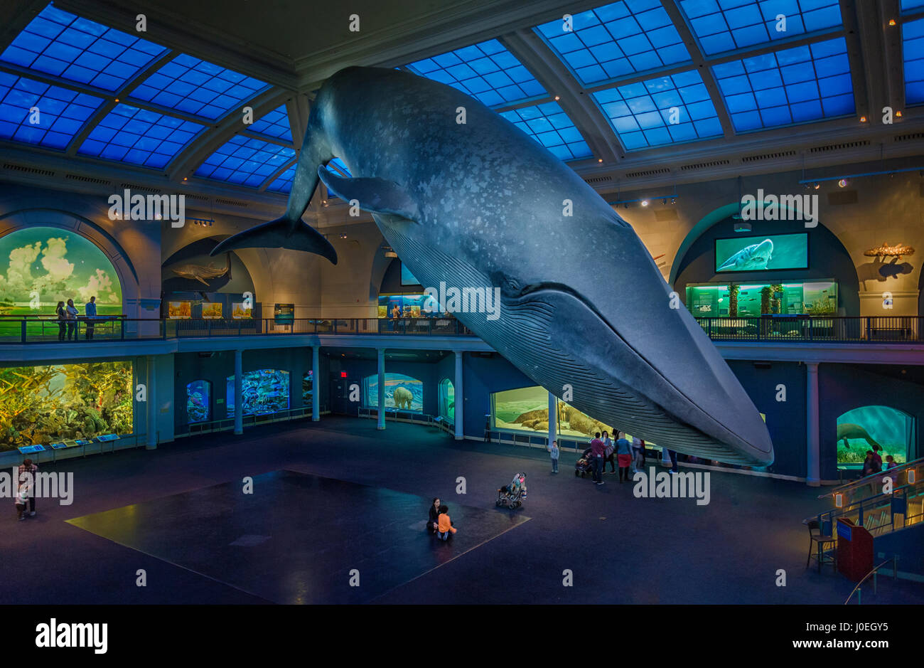 Vereinigte Staaten, New York, American Museum of Natural History Stockfoto