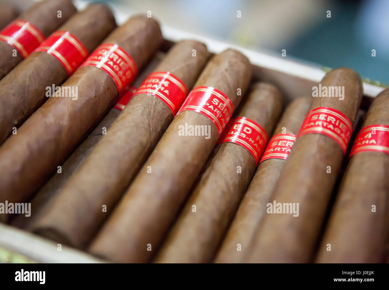 Kubanische Zigarren, Havanna, Kuba Stockfotografie - Alamy
