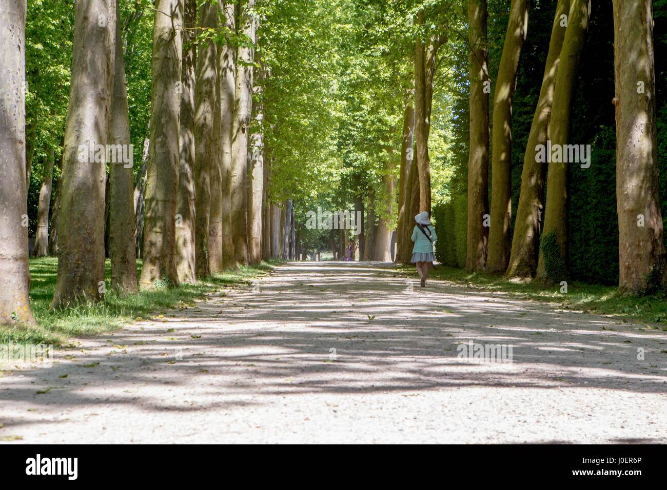 Die eine touristische Touren den großen Garten im Palast von Versailles in Versailles, Frankreich. Stockfoto