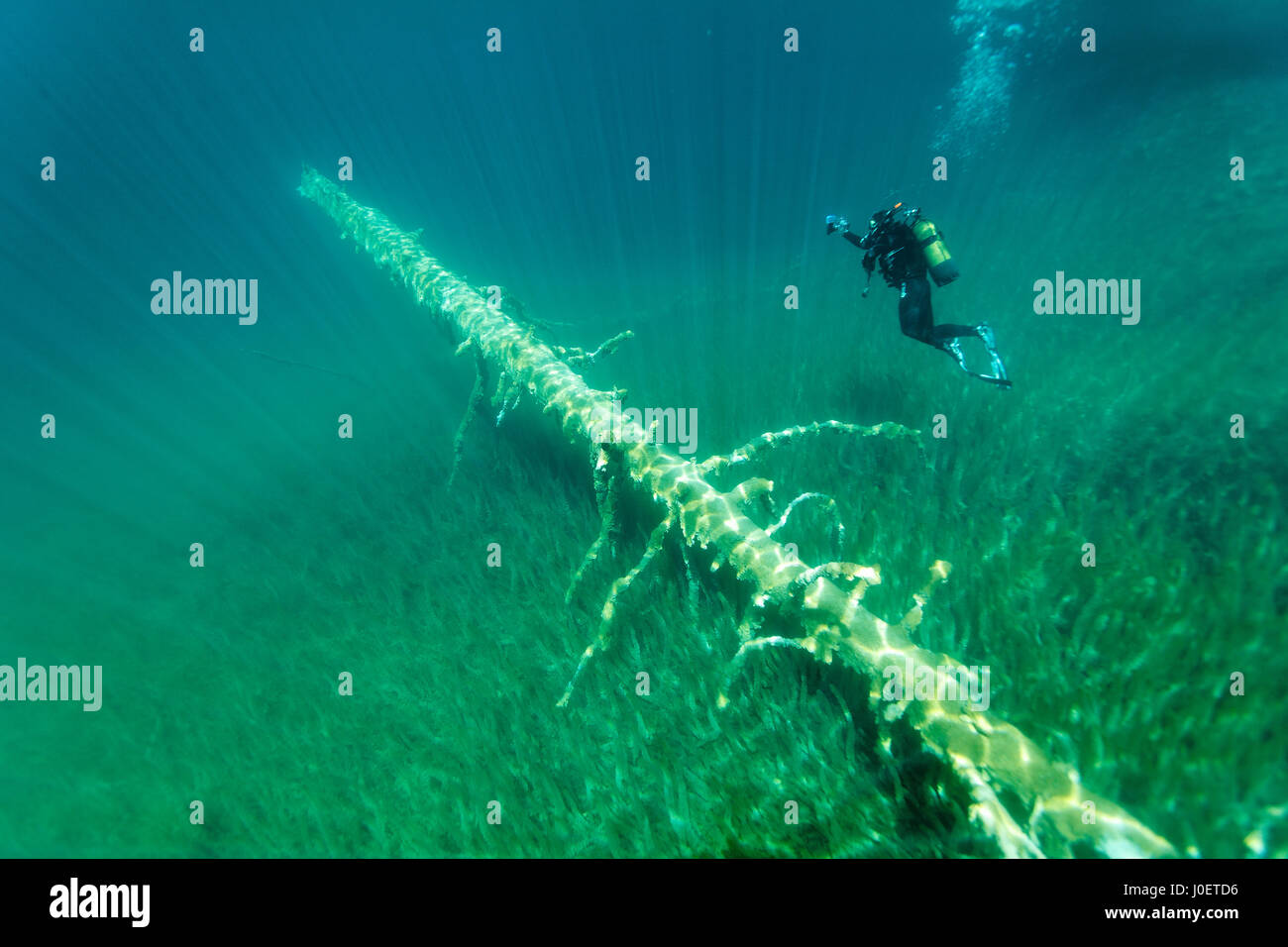 Tauchen in Plitvicer Seen, Kroatien Stockfoto