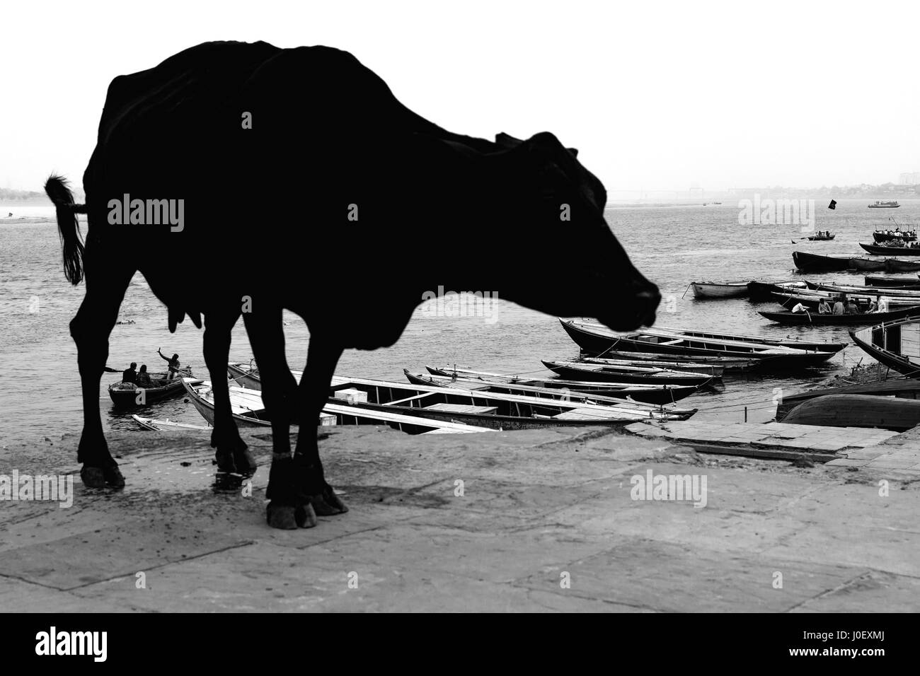 Boote geparkt, Varanasi, Uttar Pradesh, Indien, Asien Stockfoto