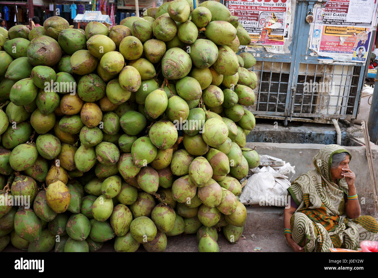 Zarte Kokosnüsse verkauft in Varanasi, Uttar Pradesh, Indien, Asien Stockfoto