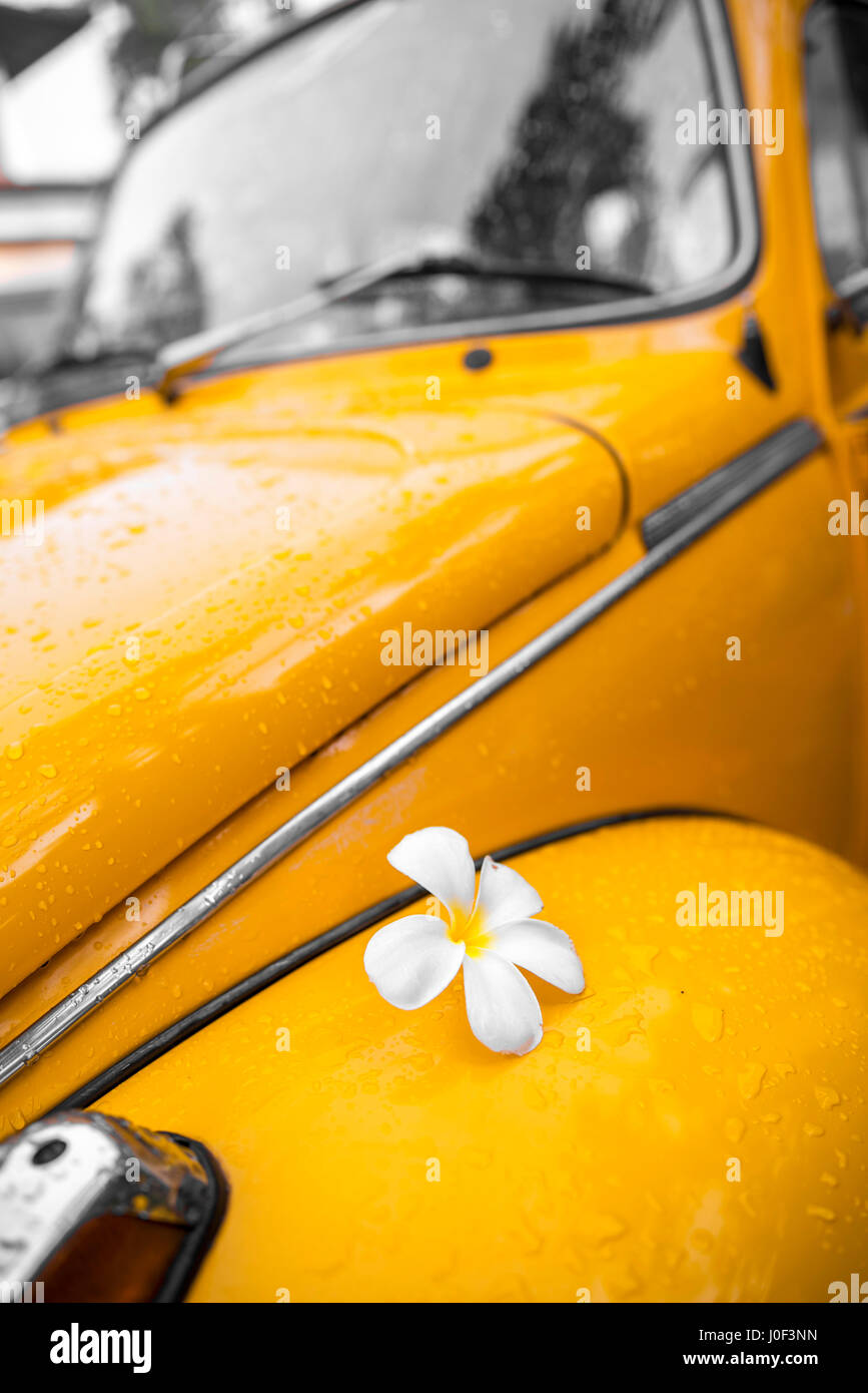 Flower-Power - Blume auf eine gelbe 70er Jahre Hippie-Oldtimer. Hippie Retro-Stil Bug oder Käfer restauriert Auto. Stockfoto