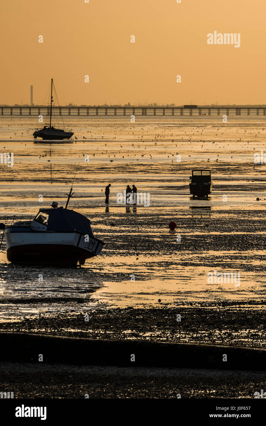 Die Leute draußen in den Schlammfächern der Southend-Vorläufer-Sortierketten. Southend Pier im Hintergrund. In der Abenddämmerung mit orangem Himmel Stockfoto