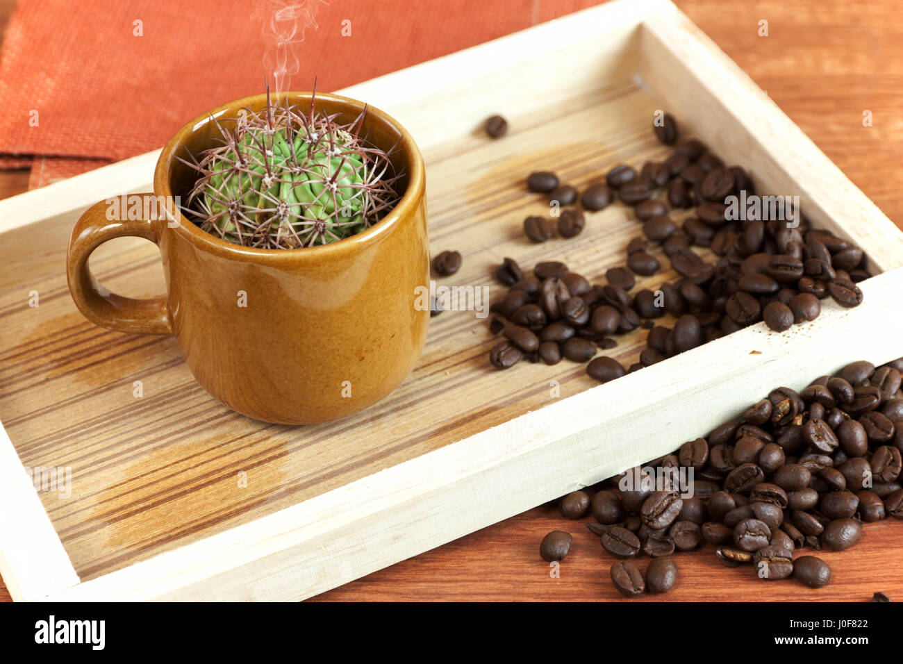 Cactus drink -Fotos und -Bildmaterial in hoher Auflsung  Alamy