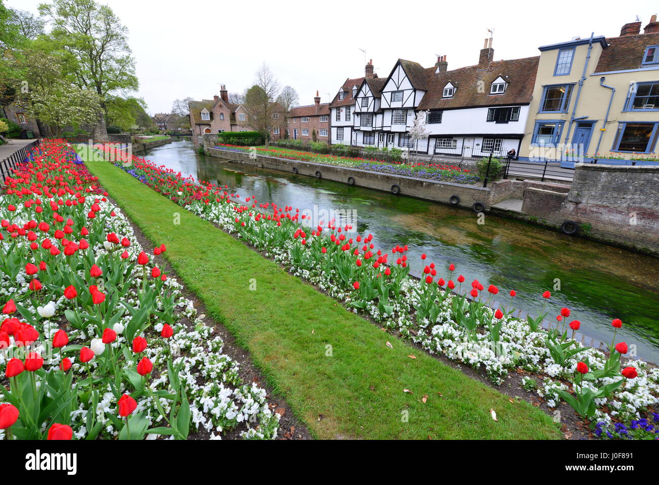 Westgate, welches der mittelalterlichen Tor-House-Bereich in Canterbury Teil der Stadtmauer, der größte erhaltene in England. Stockfoto