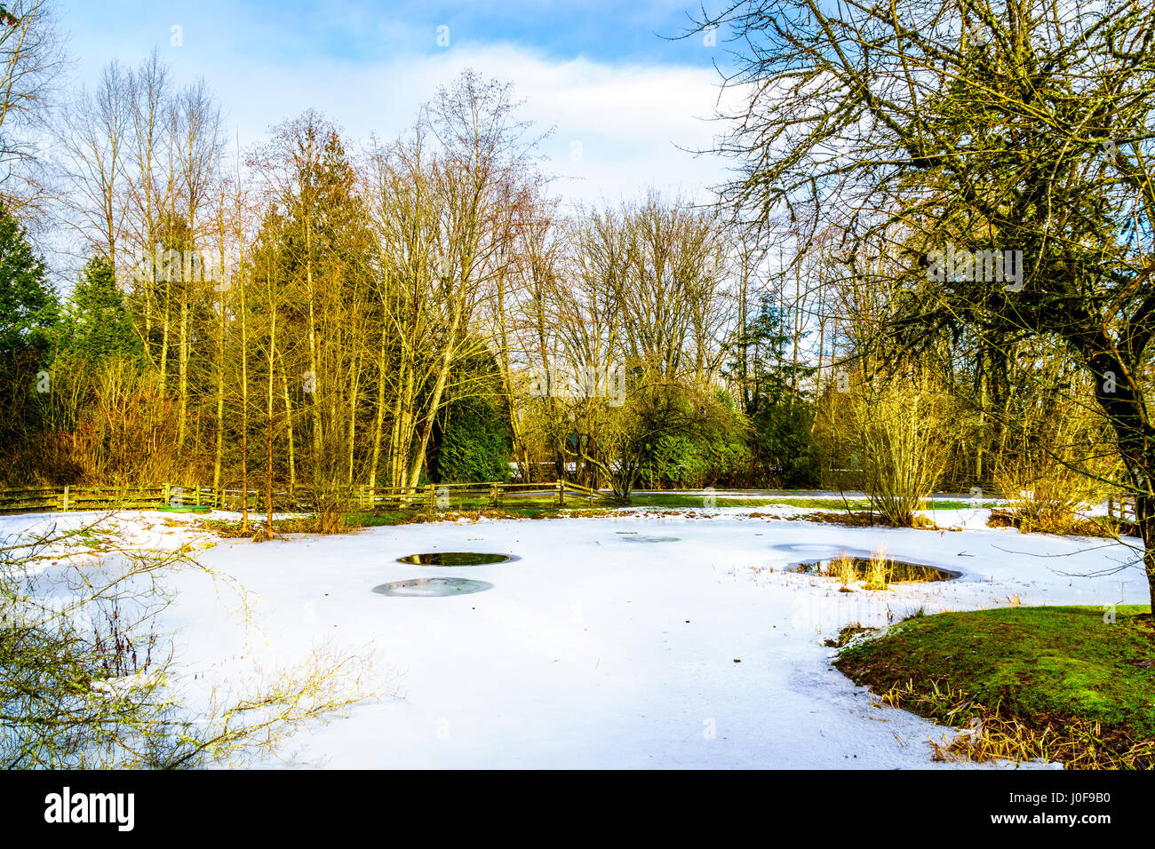 Teilweise gefrorenen Teich in Campbell Valley Park im Township in Langley, British Columbia, Kanada an einem schönen Wintertag Stockfoto