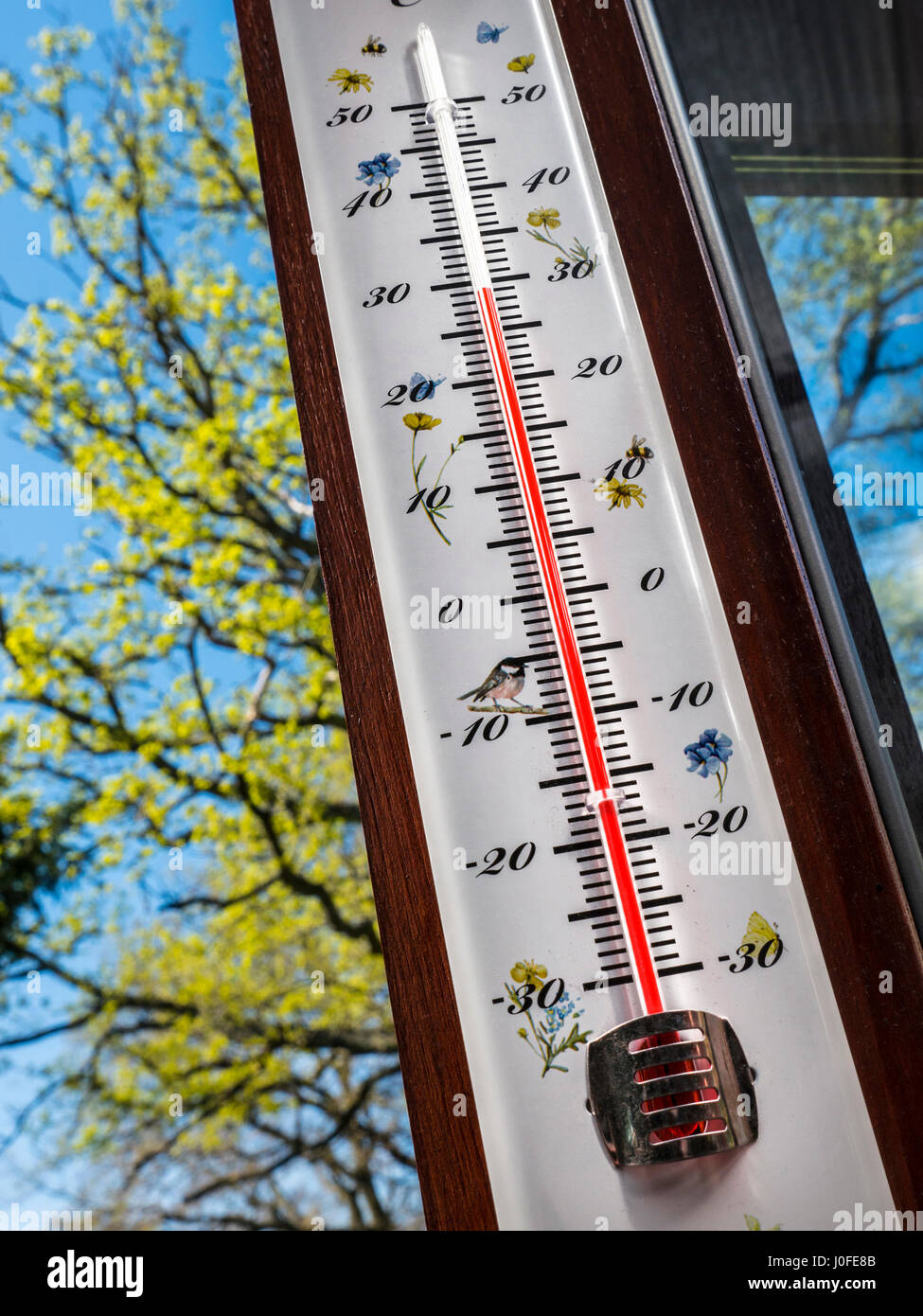 Aussenthermometer Garten