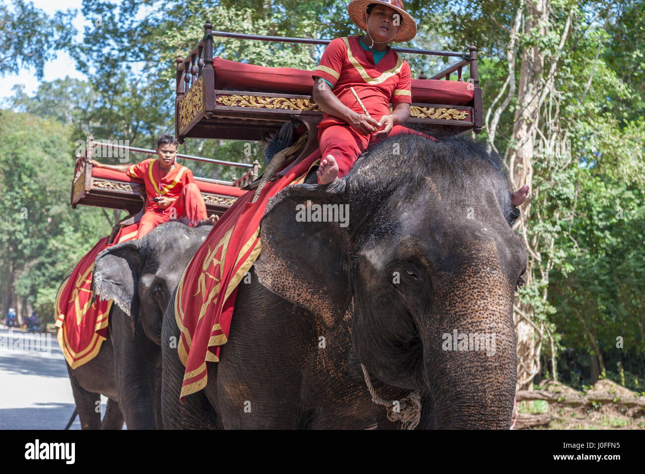 Elefant auf dem Weg zu den Prasat Bayon, Angkor Thom, Siem Reap, Kambodscha Stockfoto